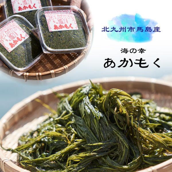 馬島あかもくグループ/あかもく5パックセット/10パックセット/20パックセット