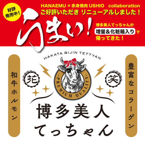 【送料込み】【贈答用】博多美人てっちゃん3点セット(コク辛味噌ダレ・旨塩ダレ)