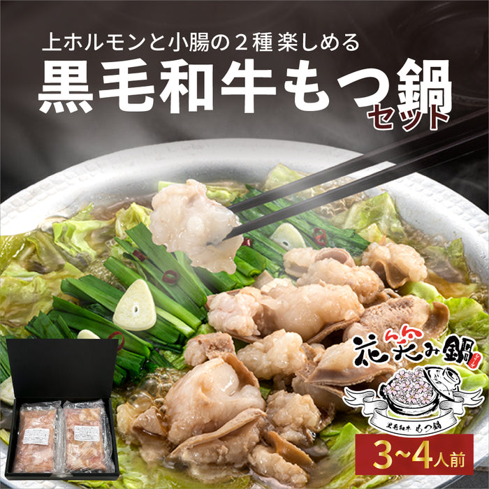 【贈答箱入り】黒毛和牛もつ鍋／3～4人前+送料別