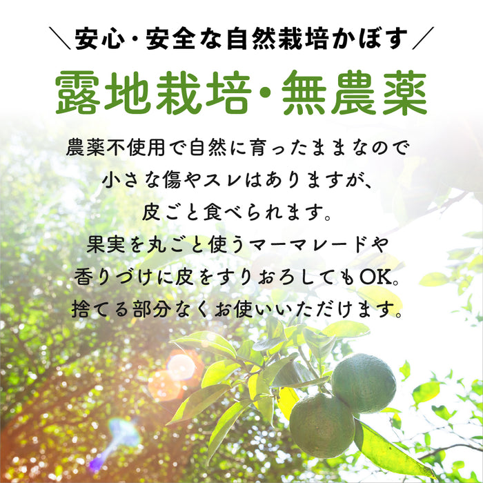 自然栽培 大分産かぼす2kg以上～1kg単位で販売【別途送料】