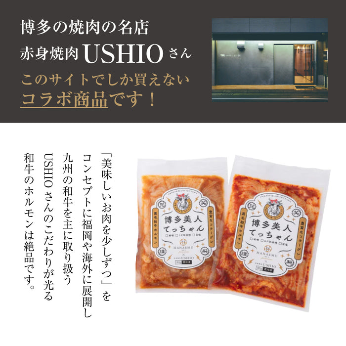 【送料込み】【贈答用】博多美人てっちゃん3点セット（コク辛味噌ダレ・旨塩ダレ）