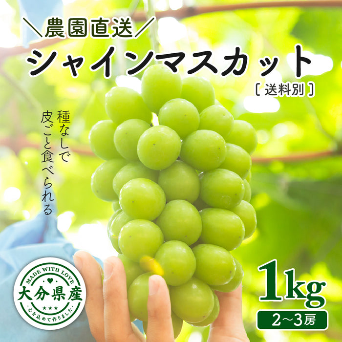 SUNマルシェ／シャインマスカット1kg