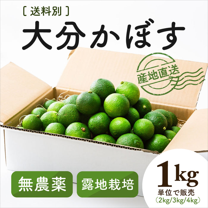 自然栽培 大分産かぼす2kg以上～1kg単位で販売【別途送料】