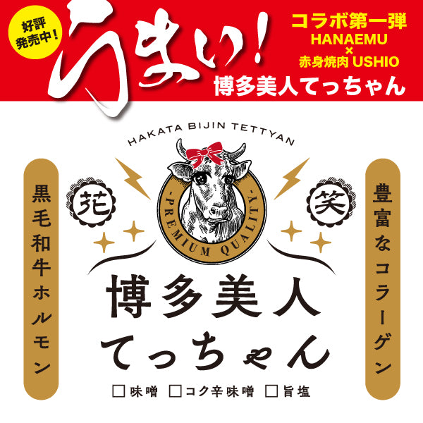 博多美人てっちゃん3点セット（味噌ダレ・コク辛味噌ダレ・旨塩ダレ）