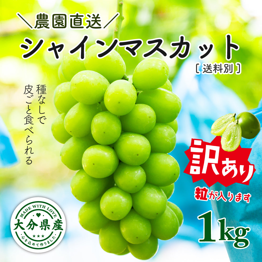 ご家庭用【訳あり】SUNマルシェ／シャインマスカット1kg — HANAEMU marché