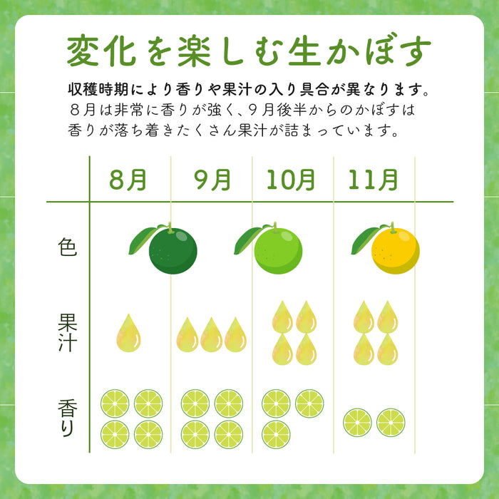 自然栽培 大分産かぼす2kg以上～1kg単位で販売【別途送料】