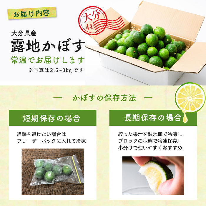 自然栽培 大分産かぼす2kg以上～1kg単位で販売【別途送料】