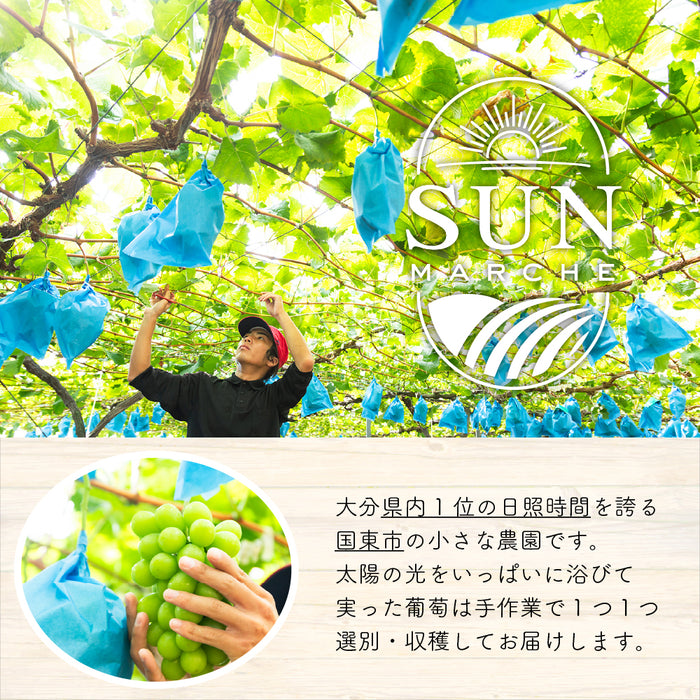 ご家庭用【訳あり】SUNマルシェ／シャインマスカット1kg