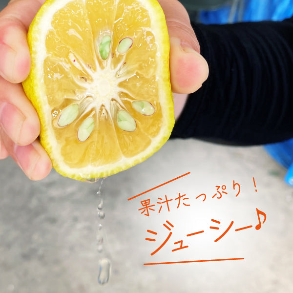 自然栽培 大分産かぼす2kg以上～1kg単位で販売【別途送料】