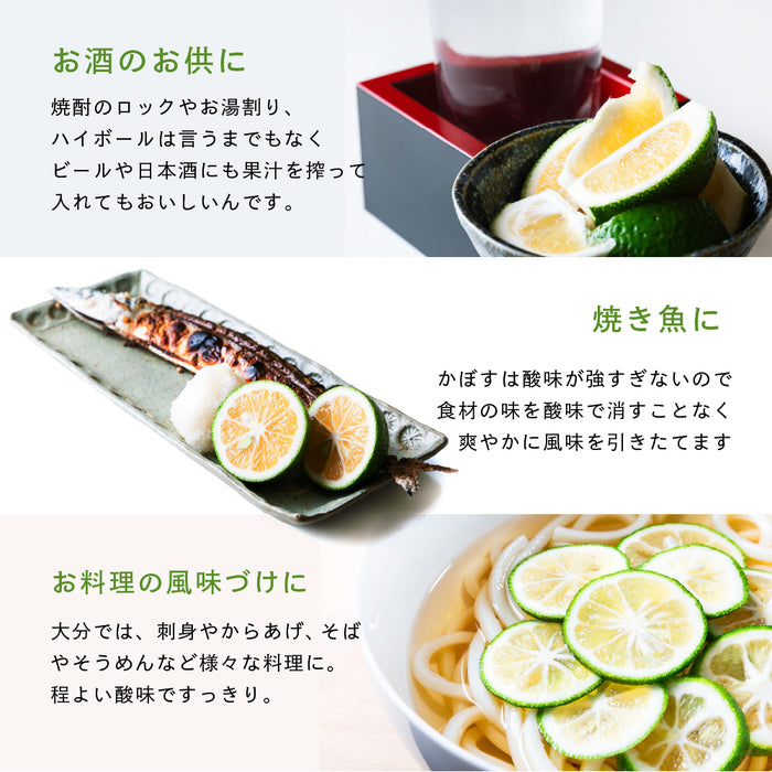 自然栽培 大分産かぼす2kg以上～1kg単位で販売【別途送料】