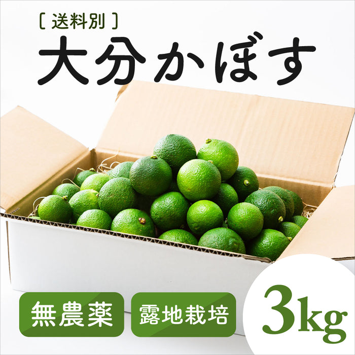 自然栽培 大分産かぼす2kg以上～1kg単位で販売【別途送料】