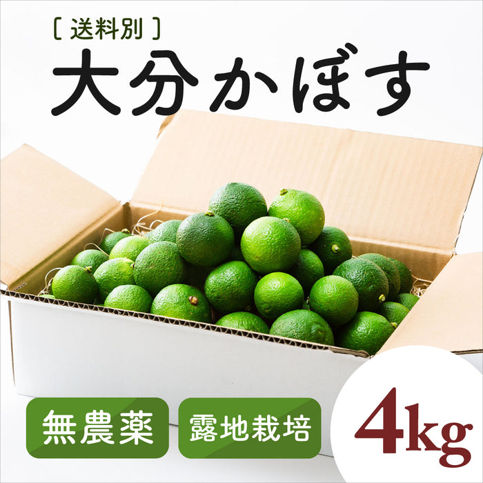 自然栽培 大分産かぼす2kg以上～1kg単位で販売【別途送料】
